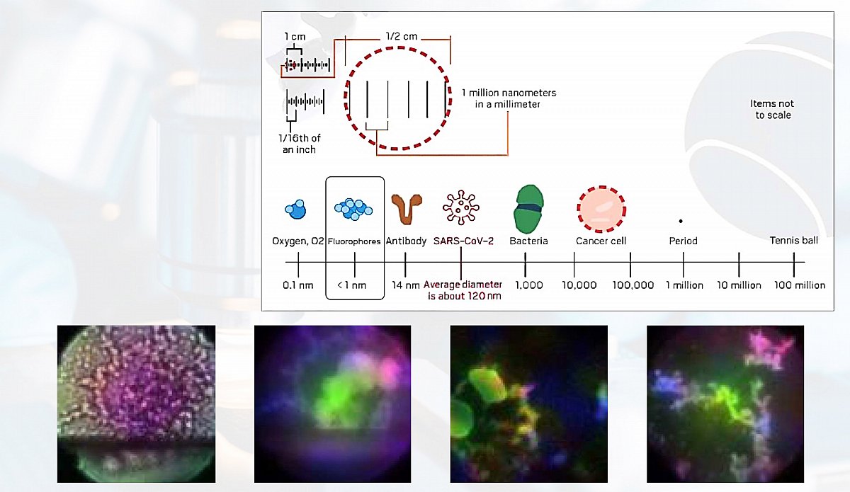 Fluorophores Chart2.jpg